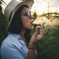 Cannabis-Friendly Accommodations and Activities: A Guide for Cannabis Tourism