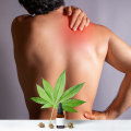 Chronic Pain Management with Cannabis: A Comprehensive Guide