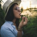 Marijuana Tours and Experiences: A Guide to Exploring Cannabis Tourism