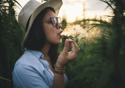 Cannabis-Friendly Accommodations and Activities: A Guide for Cannabis Tourism