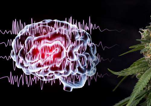 Epilepsy and Medical Cannabis: Understanding the Benefits and Uses